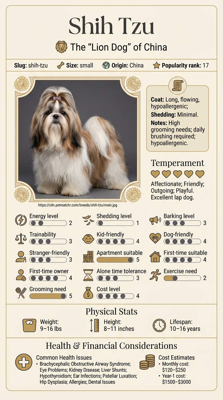 Understanding Shih Tzu Cost in Memphis infographic