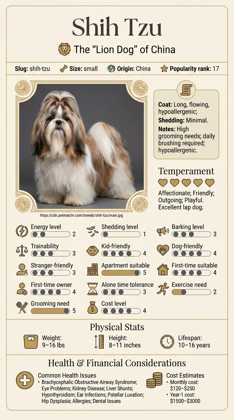 Shih Tzu Cost in Jacksonville infographic