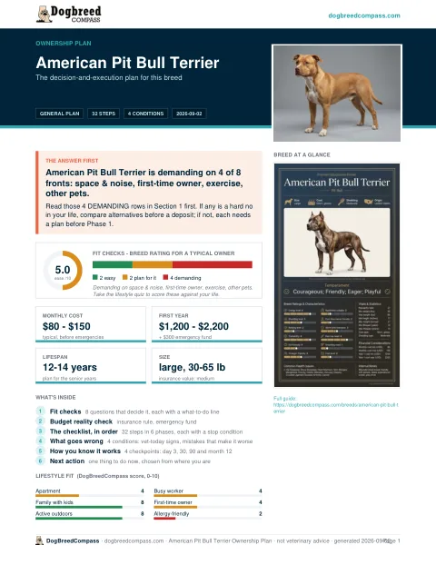 First page of the American Pit Bull Terrier ownership plan