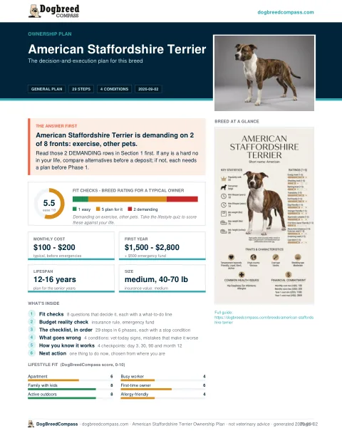 First page of the American Staffordshire Terrier ownership plan