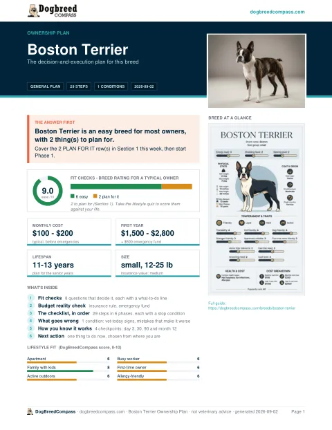First page of the Boston Terrier ownership plan
