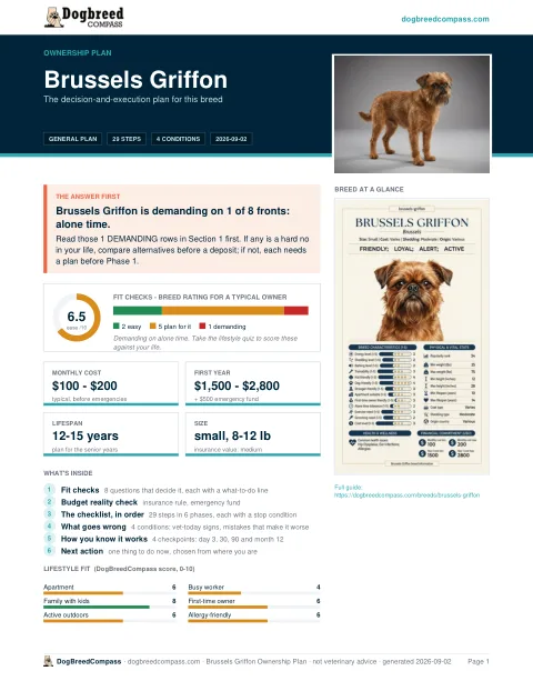 First page of the Brussels Griffon ownership plan