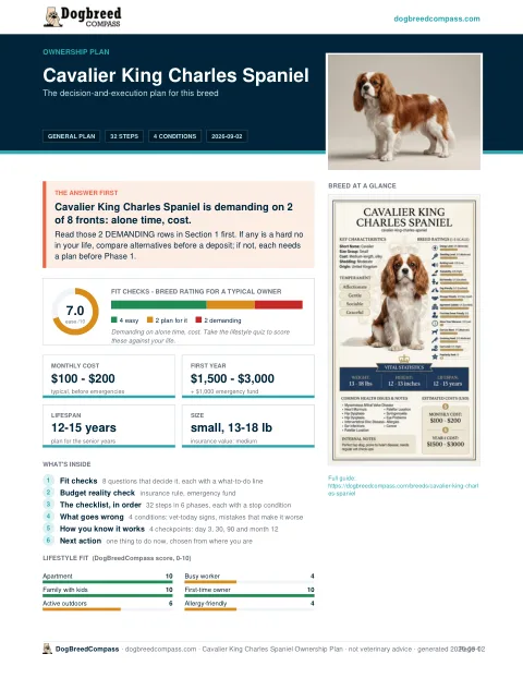 First page of the Cavalier King Charles Spaniel ownership plan
