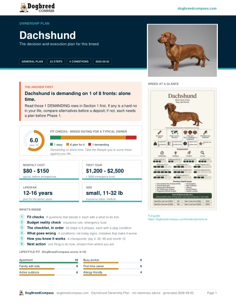 First page of the Dachshund ownership plan