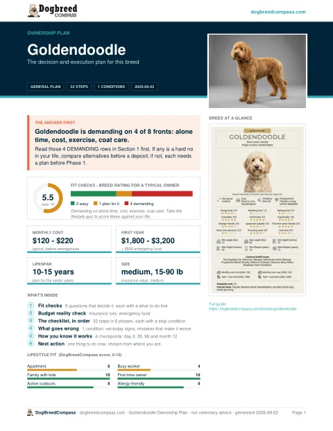 First page of the Goldendoodle ownership plan