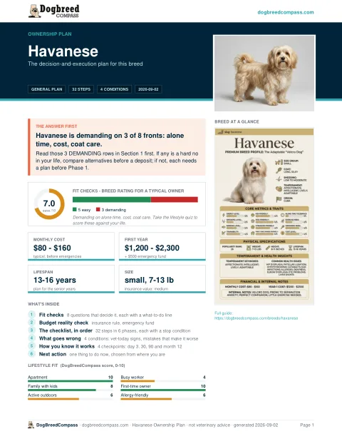 First page of the Havanese ownership plan