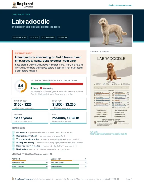 First page of the Labradoodle ownership plan