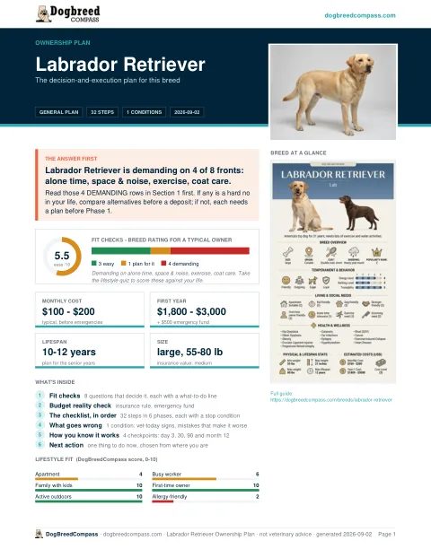 First page of the Labrador Retriever ownership plan