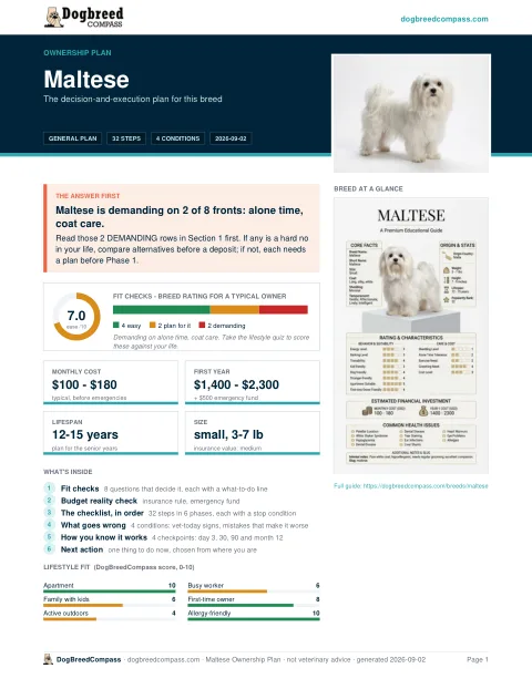 First page of the Maltese ownership plan