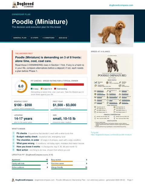 First page of the Poodle (Miniature) ownership plan