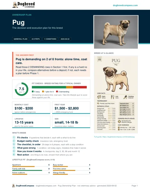 First page of the Pug ownership plan