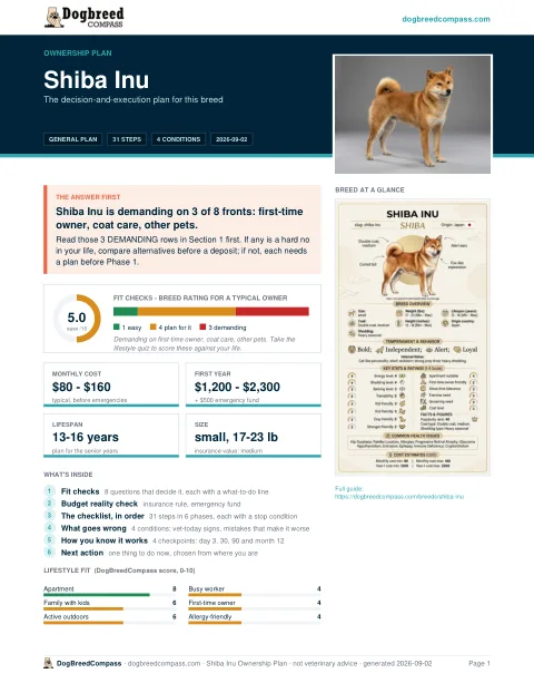 First page of the Shiba Inu ownership plan