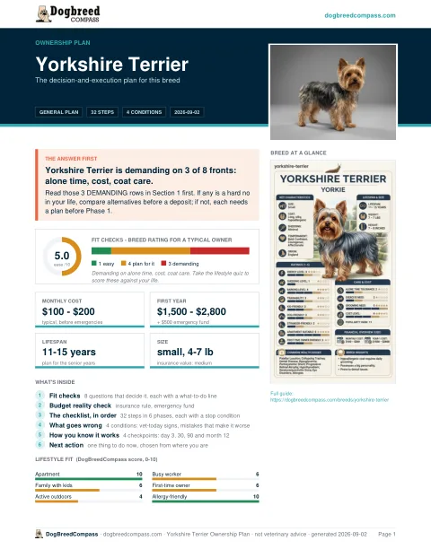 First page of the Yorkshire Terrier ownership plan