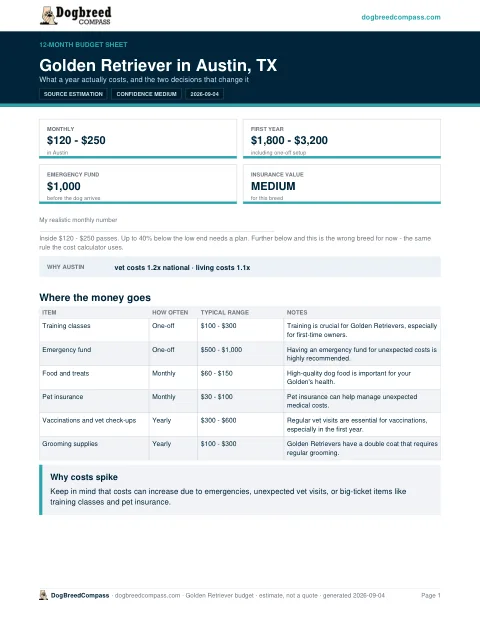 12-Month Budget Sheet