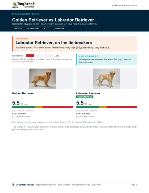 Breed Decision Report